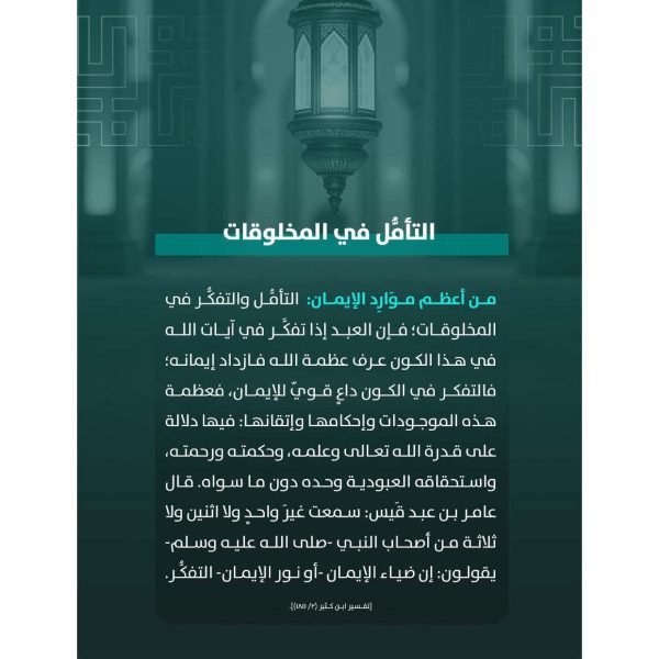 سلسلة مورد_Page_08